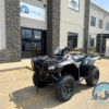 2025 Honda Rubicon Deluxe 520 DCT IRS EPS